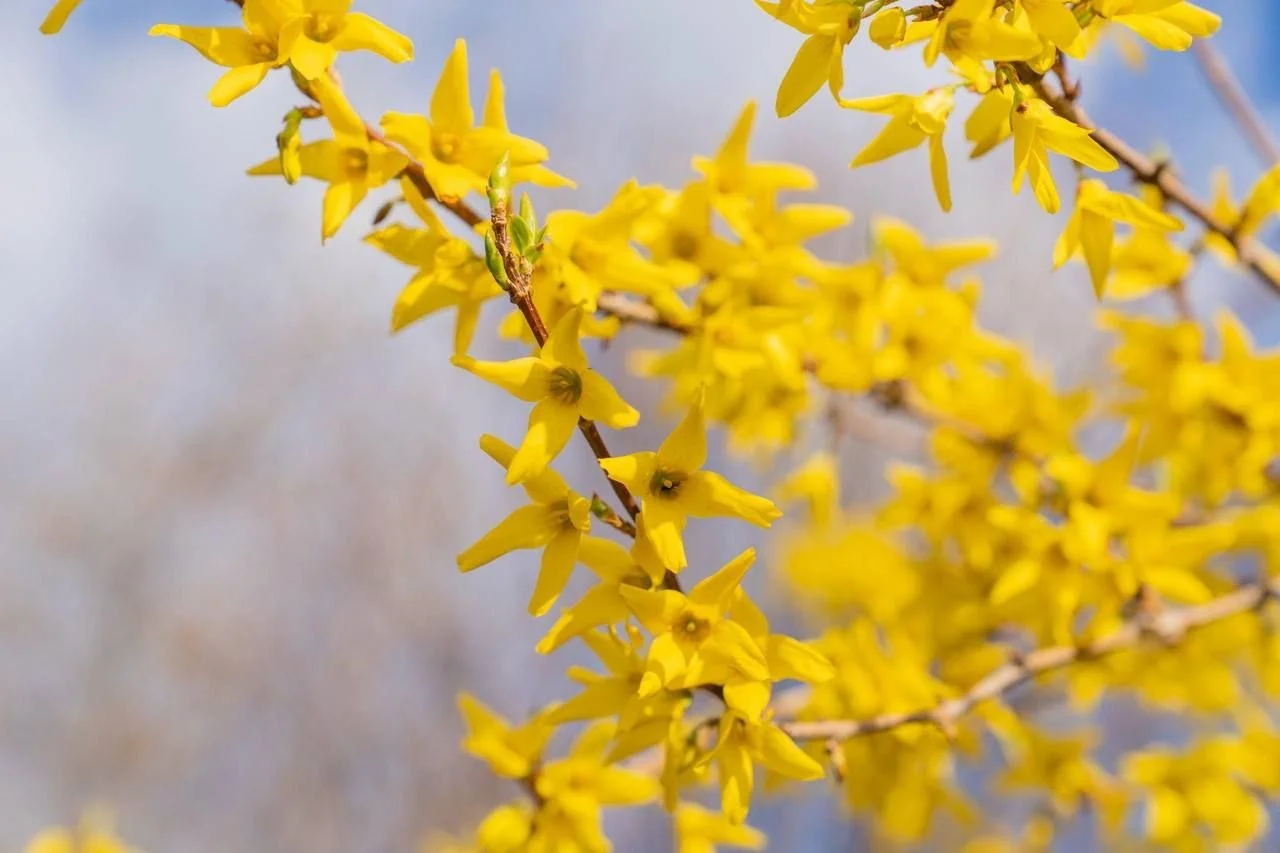 photo_2026-04-30 11.51.06.jpeg