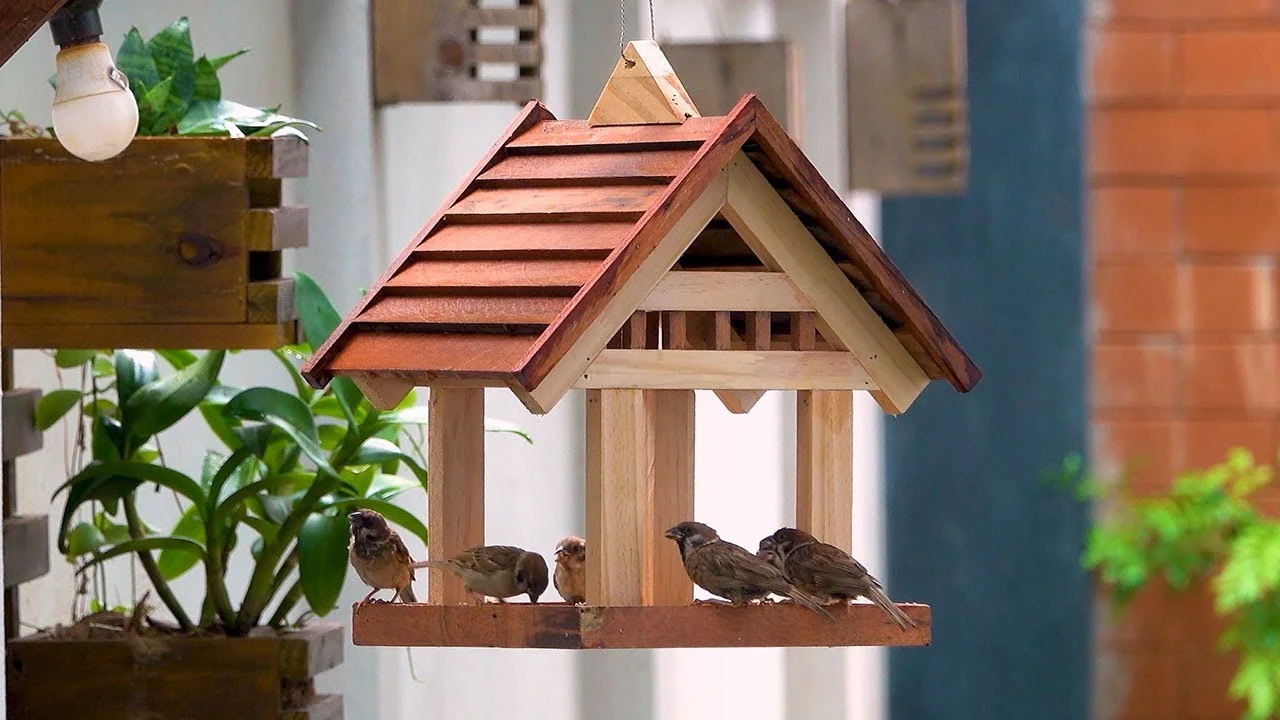 maxresdefault (1).jpg