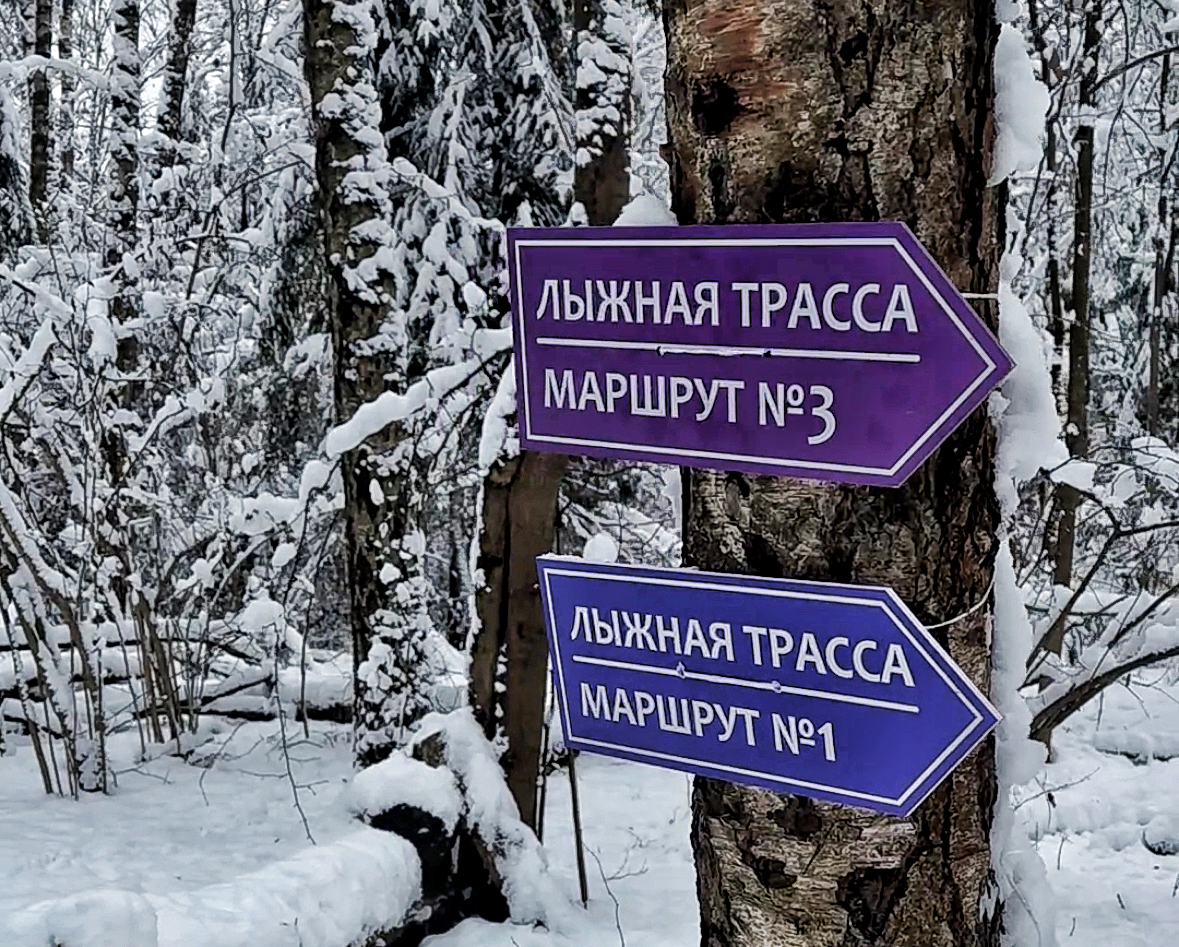 На лыжах в Лосиный остров: маршруты, адреса, прокат инвентаря
