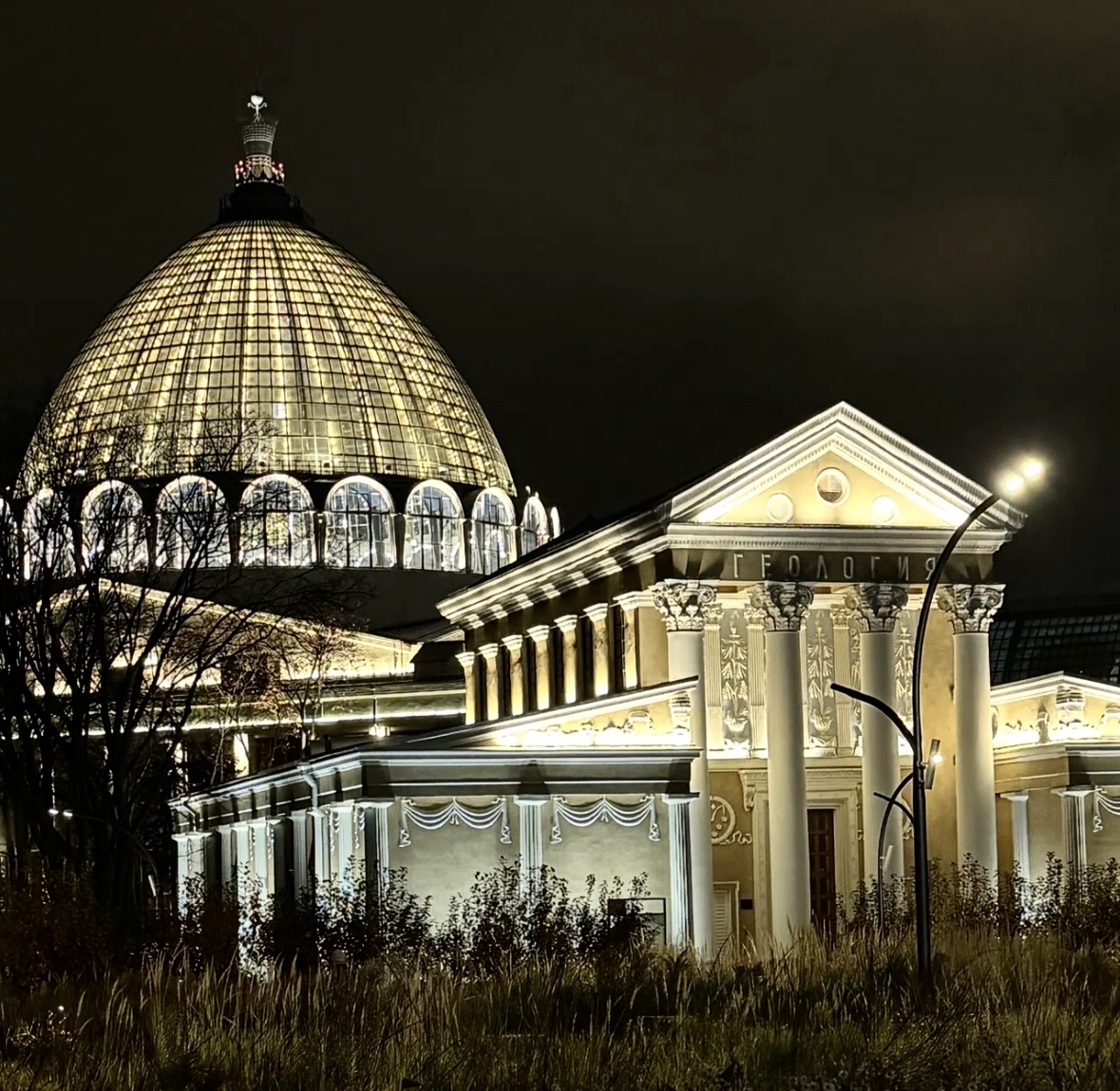 Топ-10 локаций ВДНХ для маленьких почемучек