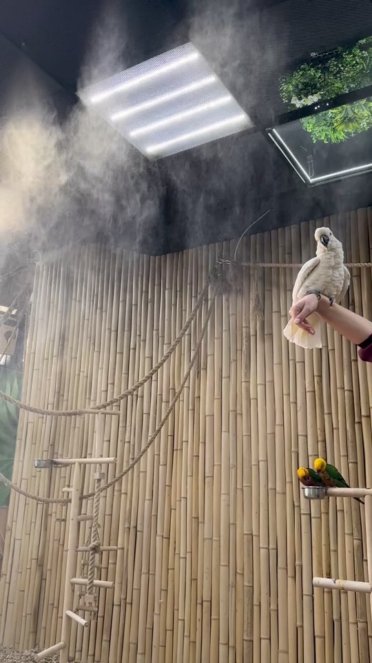 Обложка видео