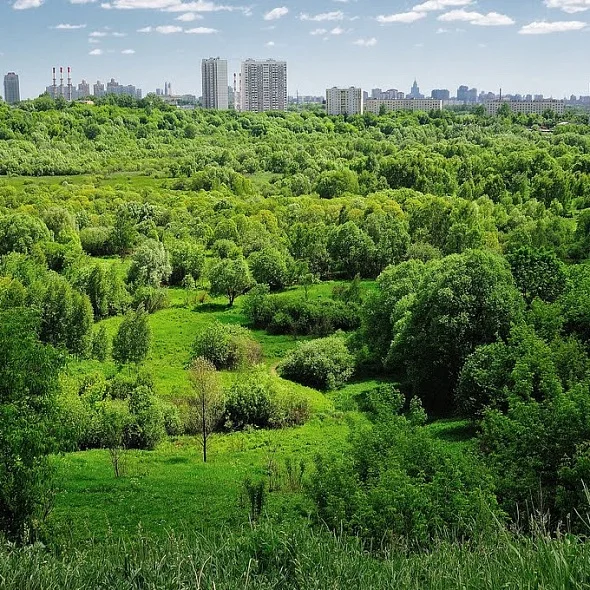 Бесплатная экскурсия "Южное Тушино и окрестности"