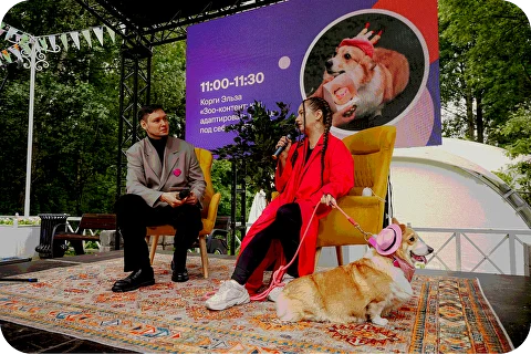 Четыре Лапы Фест