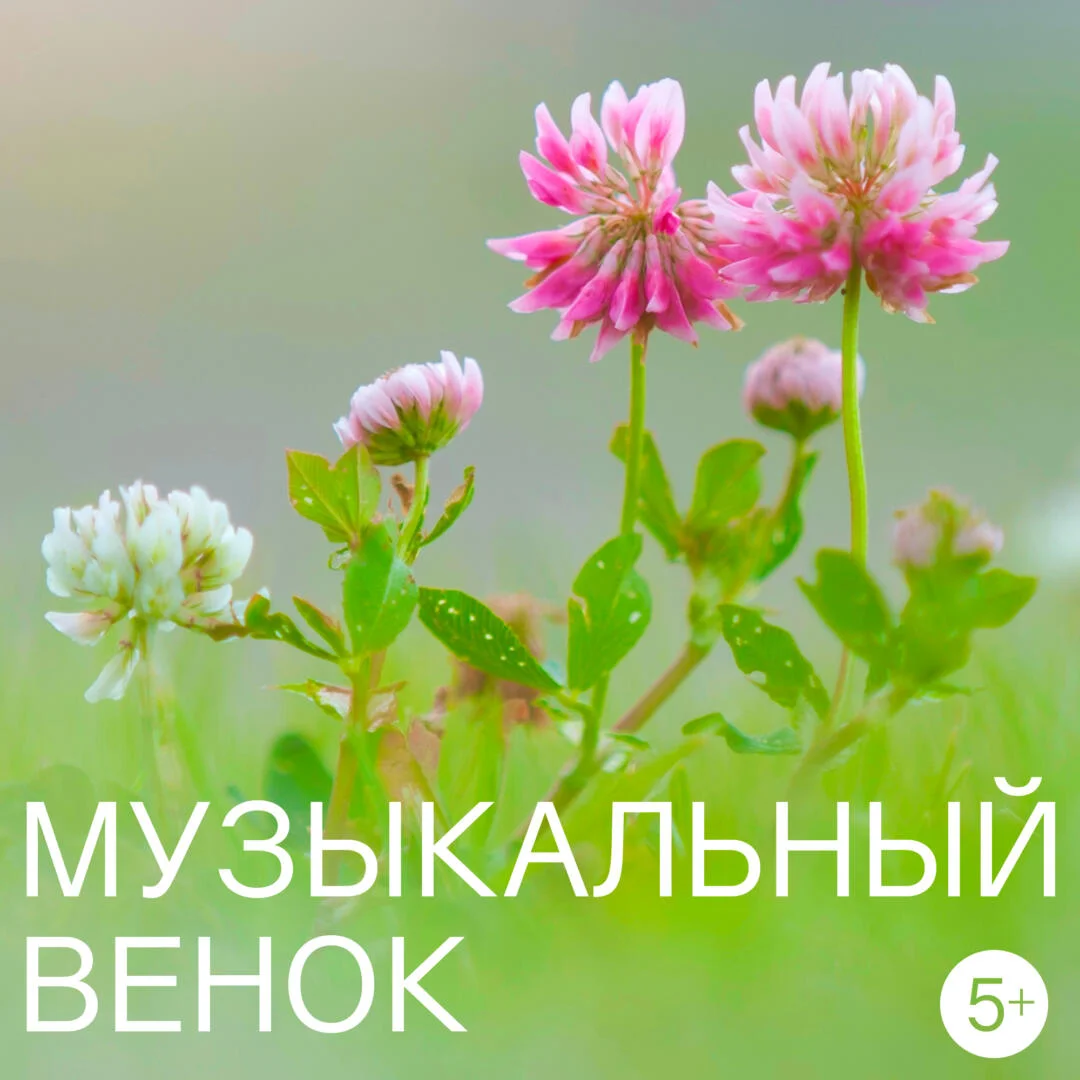 Абонементы в музее-заповеднике Царицыно