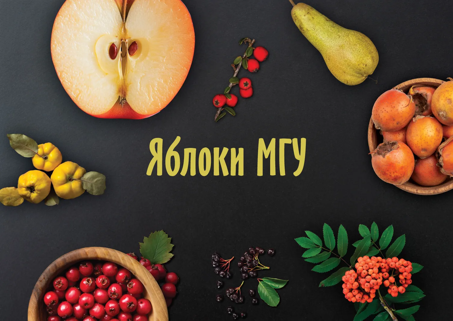 Праздник «Яблоки МГУ»