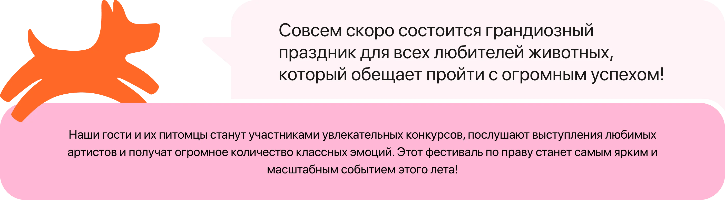 Четыре Лапы Фест