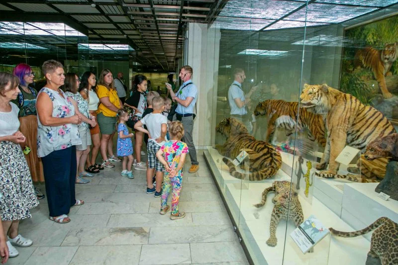 Бесплатный вход в Дарвиновский музей в костюме тигра