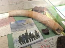 Просветительский проект «Арктика рядом»