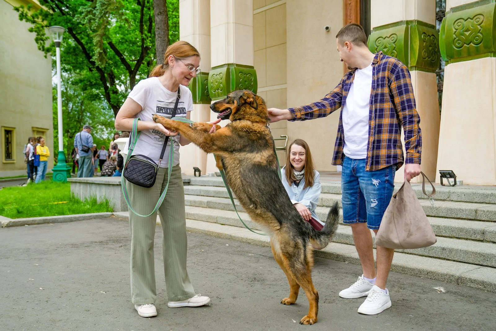 Фестиваль «Моспитомец х Четвероногий друг»