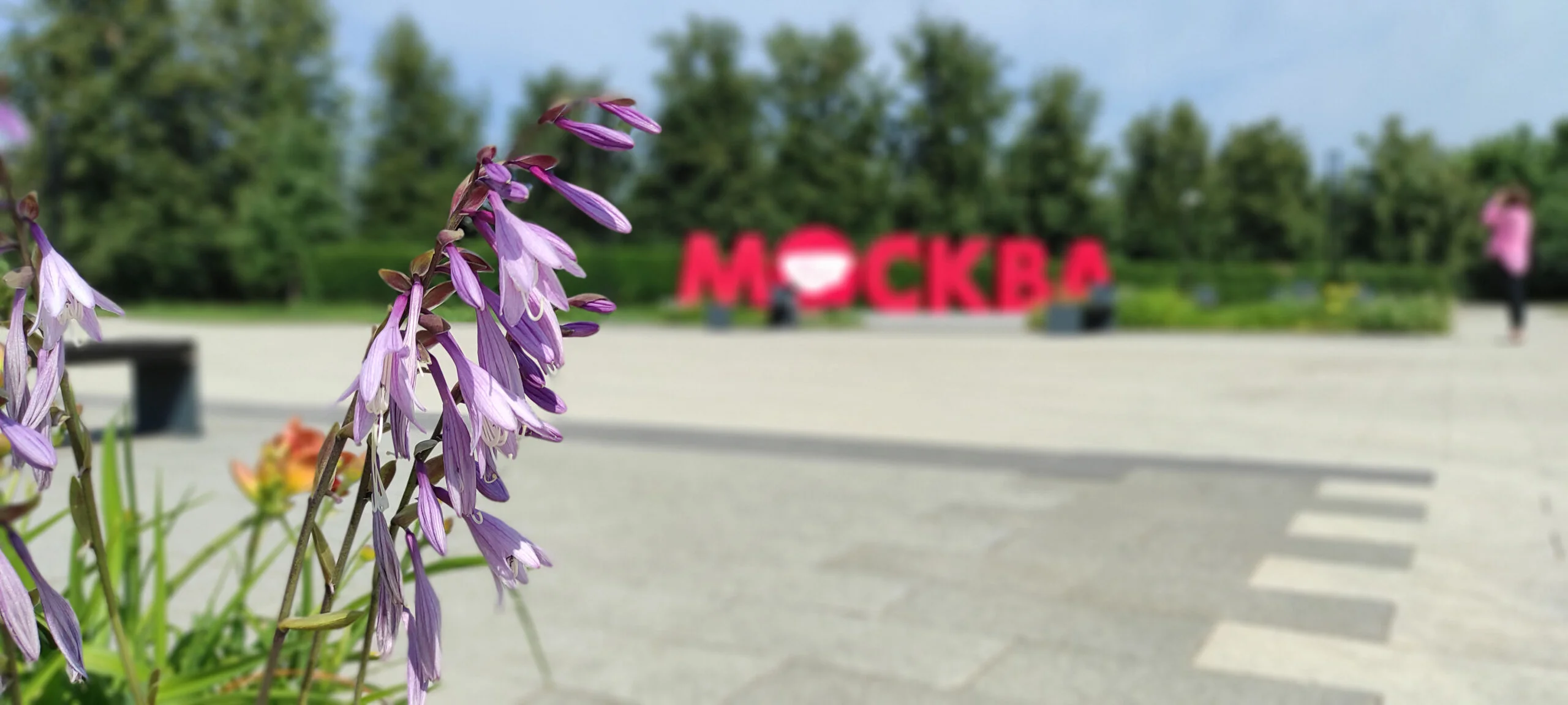 Передвижная сцена «Дилижанс» в ландшафтном парке «Митино»