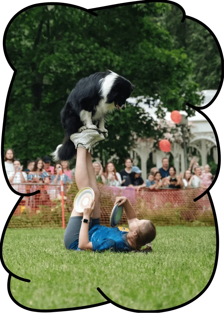 Фестиваль Petshop Days 2026