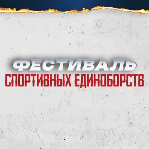 Фестиваль спортивных единоборств в Лужниках
