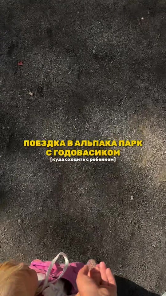 Альпака парк Сокольники