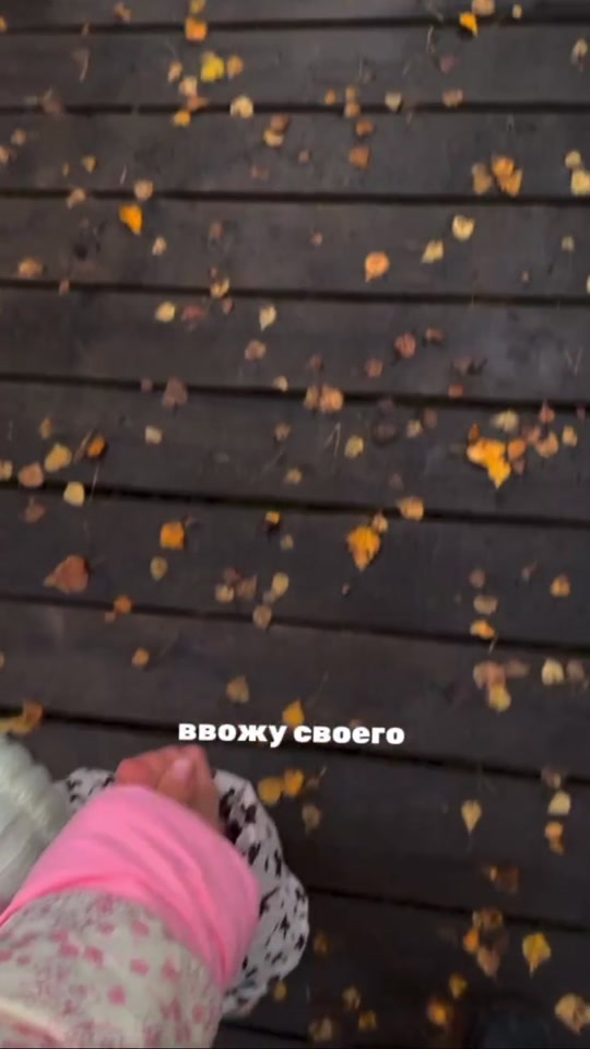 Идем на "Лосиную биостанцию"