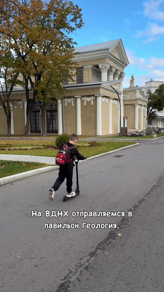 ВДНХ: Выставка «12 признаков живого»