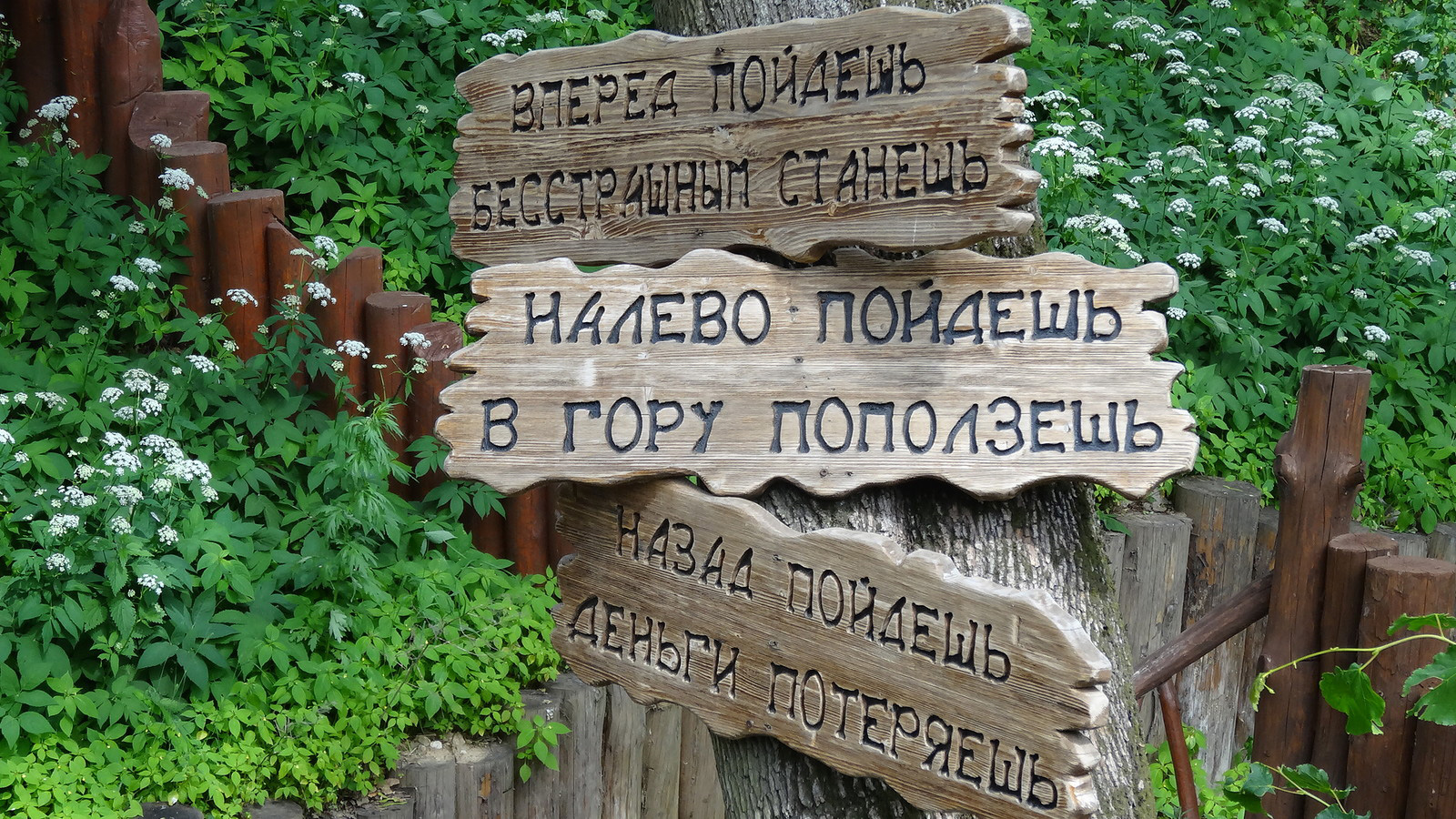 Фото Конный парк Русь - развлечение в Москве | Досугатор