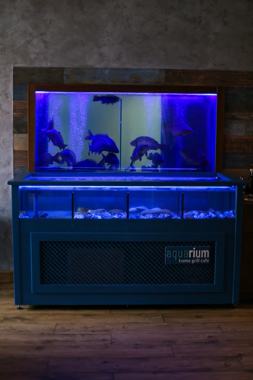 Фото Ресторан Aquarium - развлечение в Москве | Досугатор