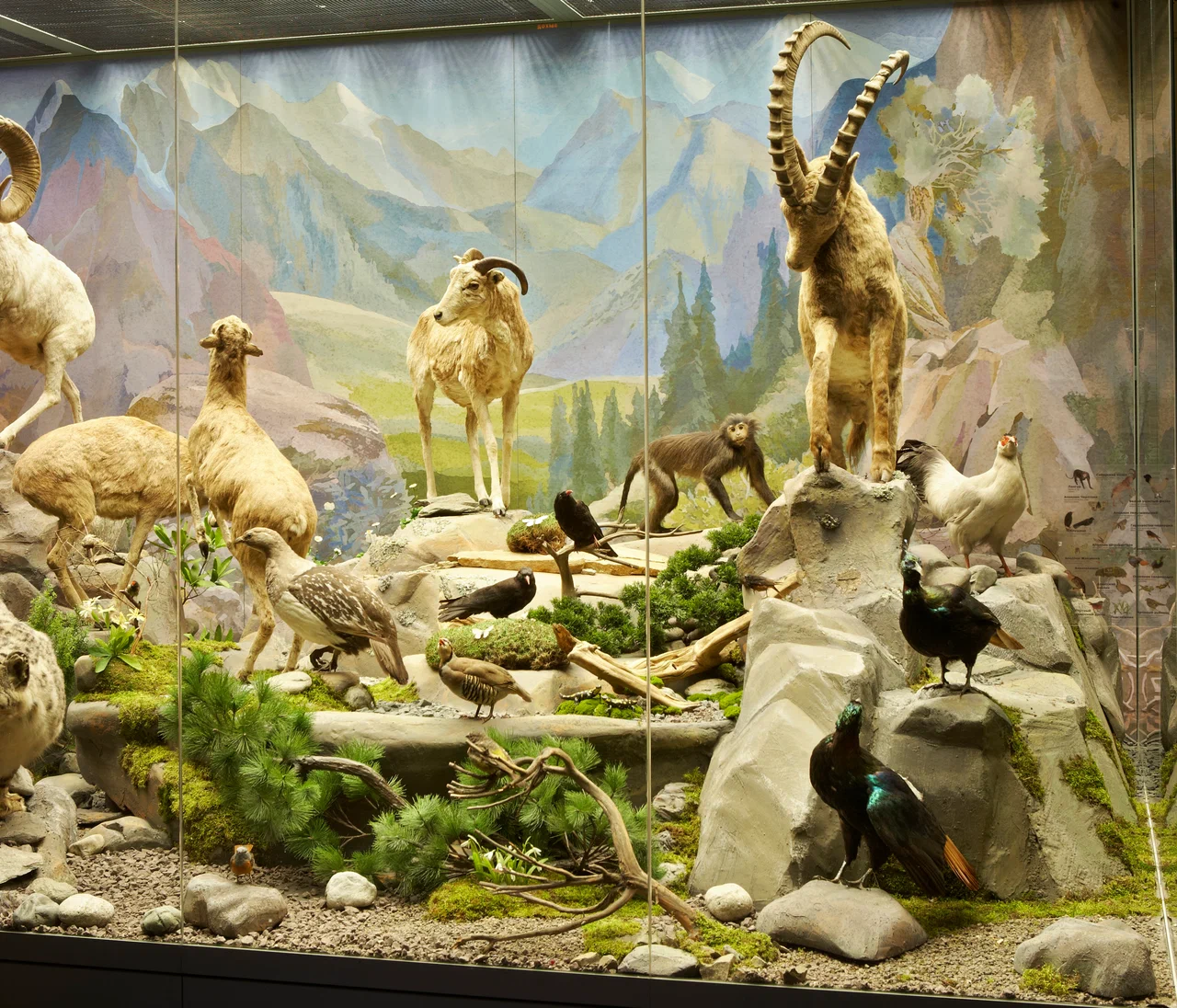 Фото Государственный Дарвиновский музей - развлечение в Москве | Досугатор