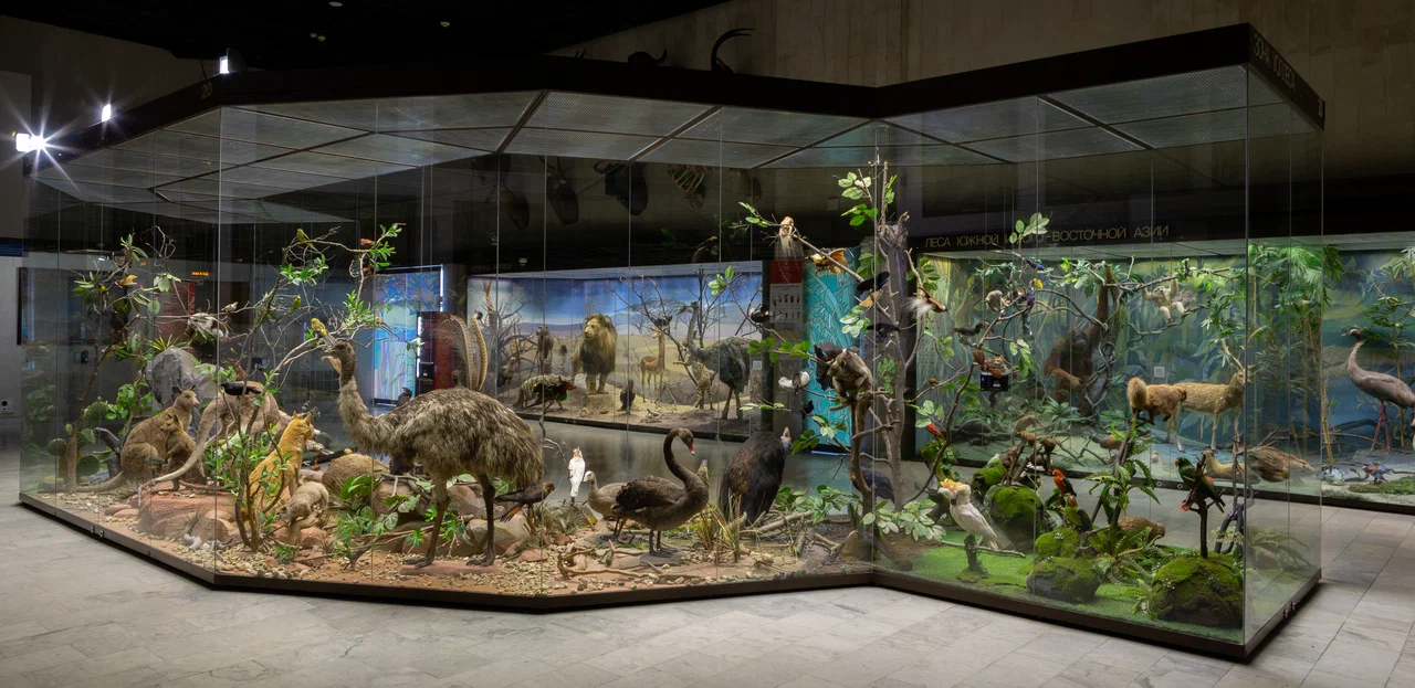 Фото Государственный Дарвиновский музей - развлечение в Москве | Досугатор