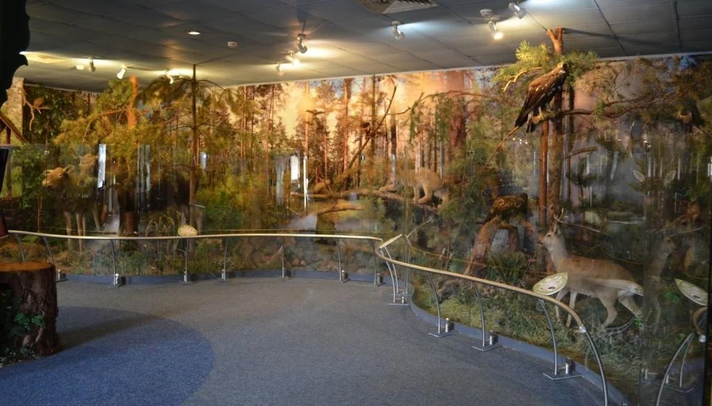 Фото Музей природы (г. Владимир) - развлечение в Москве | Досугатор