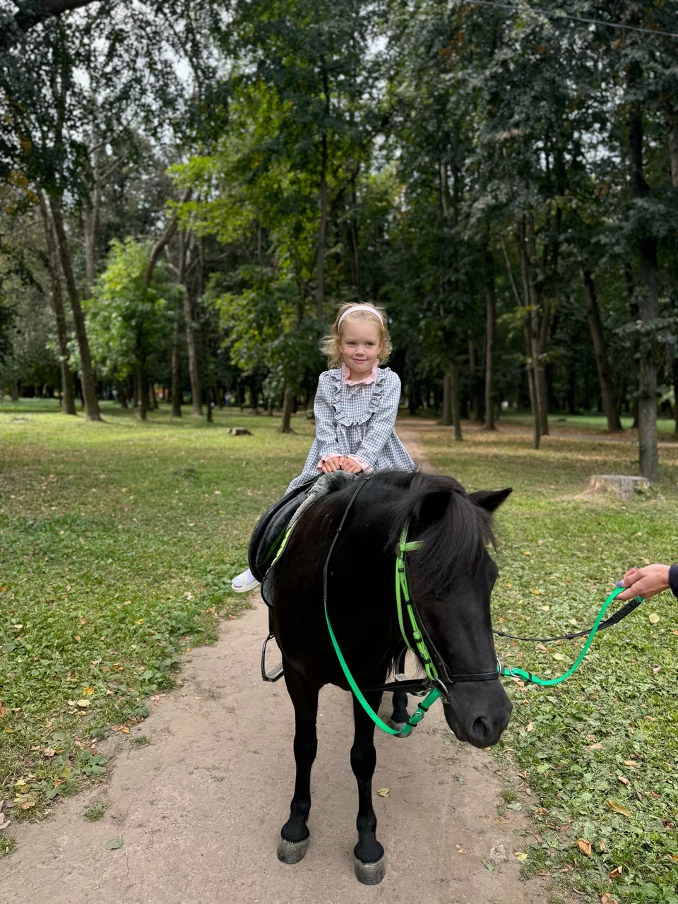 Фото Парк культуры и отдыха Рюмина роща (г. Рязань) - развлечение в Москве | Досугатор
