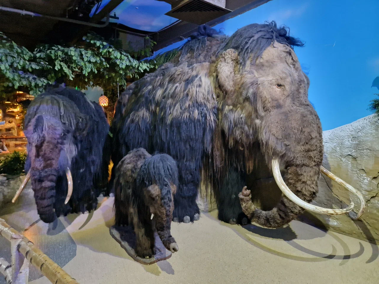 Фото Музей-театр "Ледниковый период" Мамонт и его окружение - развлечение в Москве | Досугатор