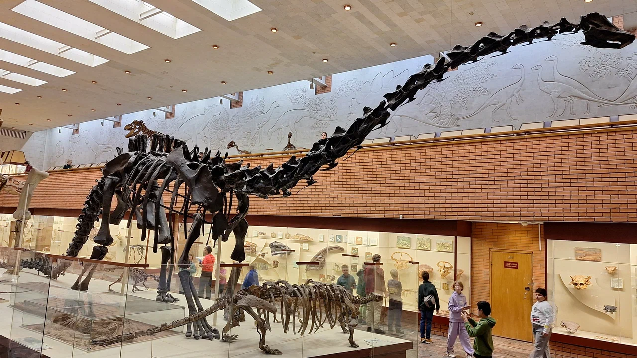 Фото Палеонтологический музей имени Ю.А. Орлова РАН - развлечение в Москве | Досугатор