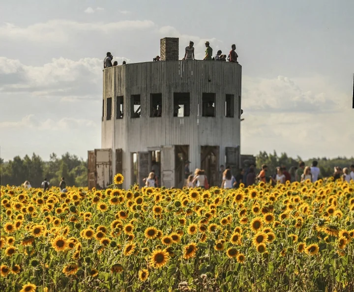 Фото Арт-парк Никола-Ленивец Калужская область - развлечение в Москве | Досугатор