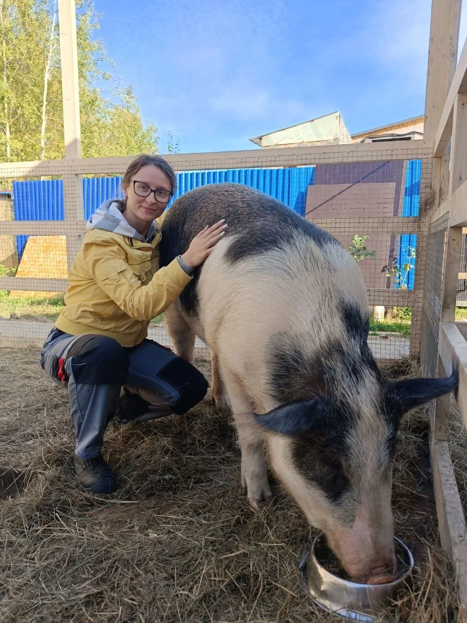 Фото Моя маленькая ферма (г. Рязань) - развлечение в Москве | Досугатор