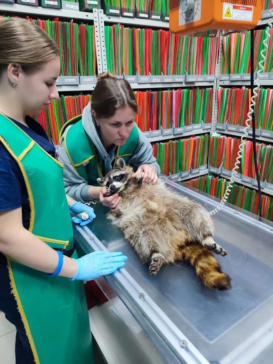 Фото Моя маленькая ферма (г. Рязань) - развлечение в Москве | Досугатор