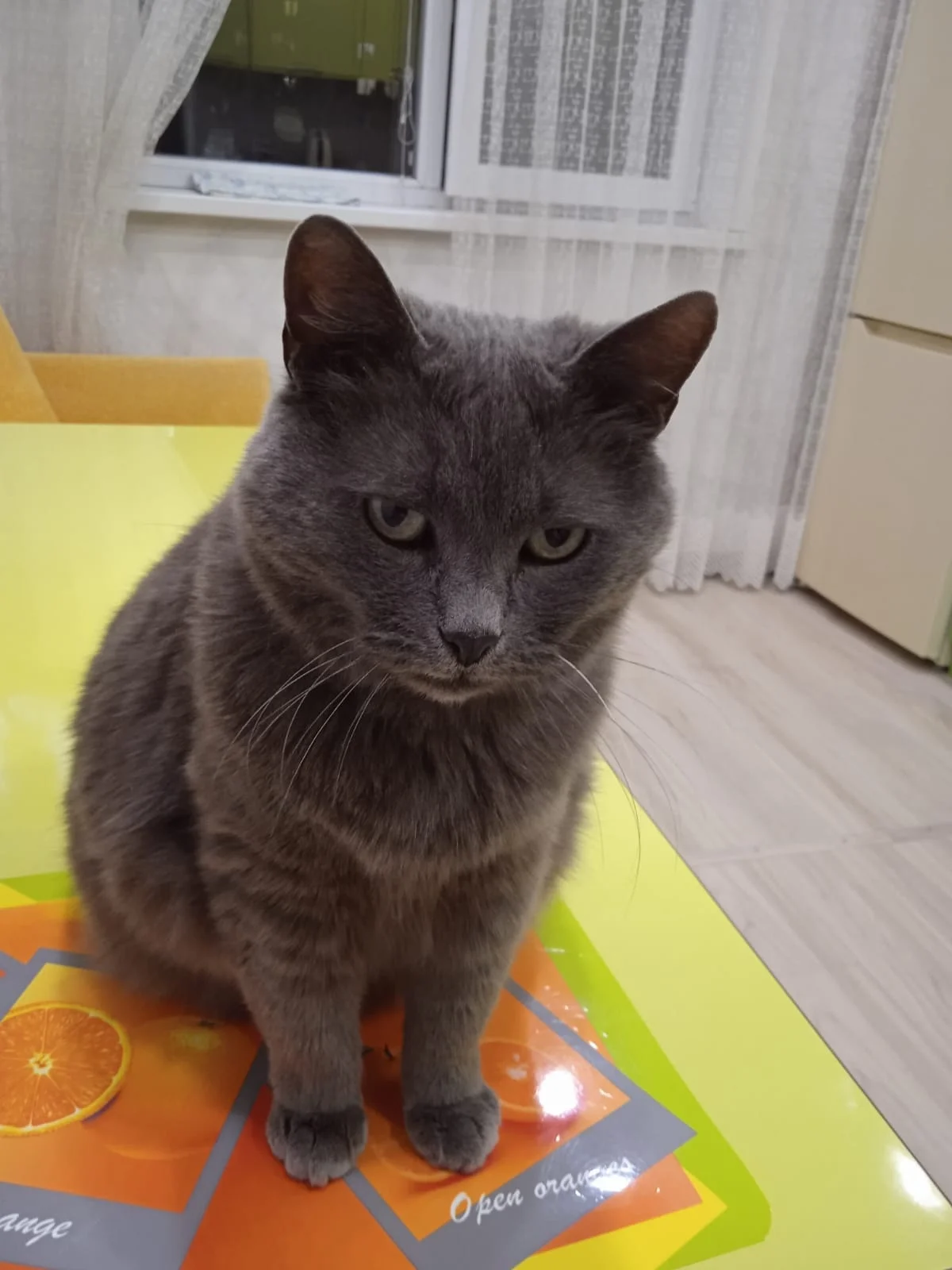 Фото Моя маленькая ферма (г. Рязань) - развлечение в Москве | Досугатор