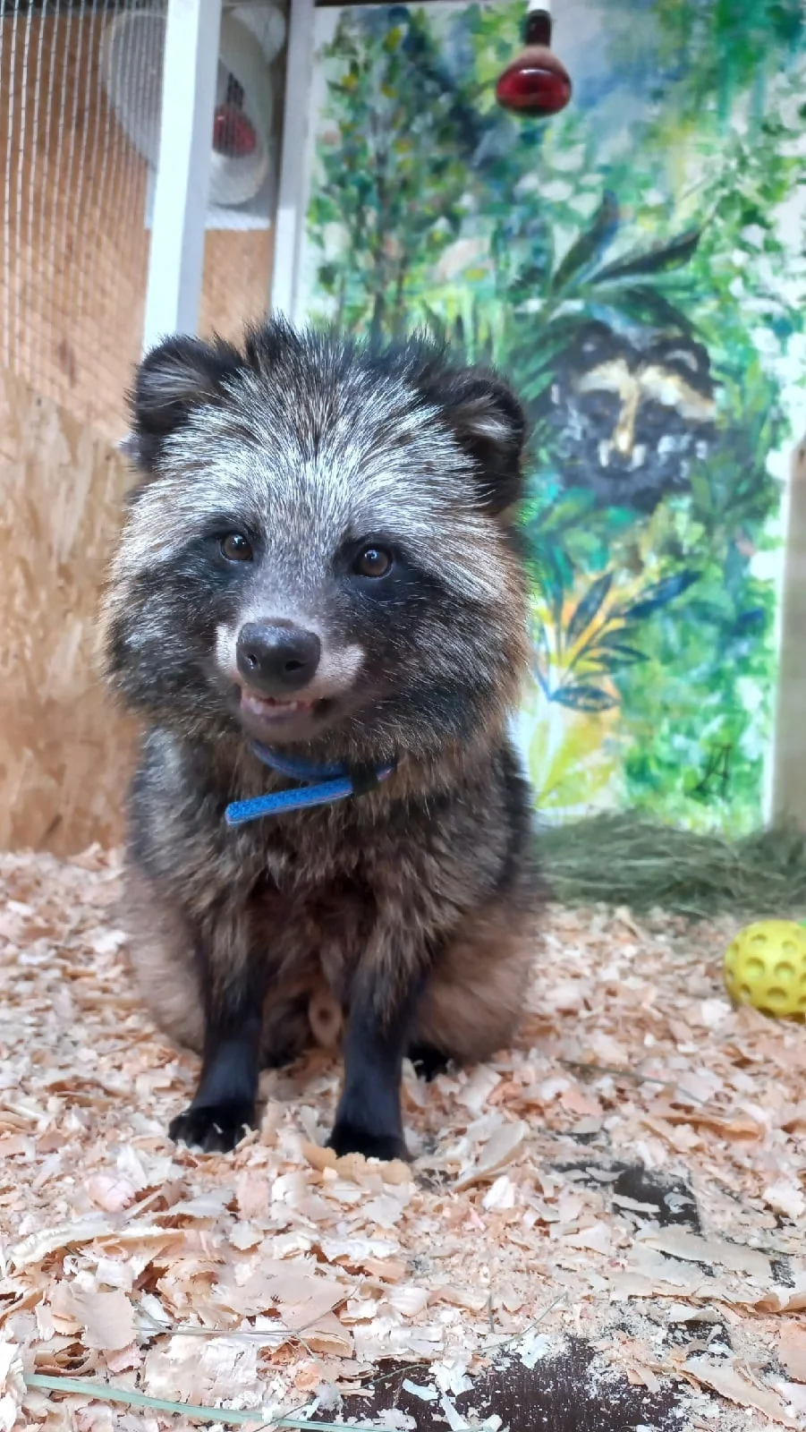 Фото Моя маленькая ферма (г. Рязань) - развлечение в Москве | Досугатор