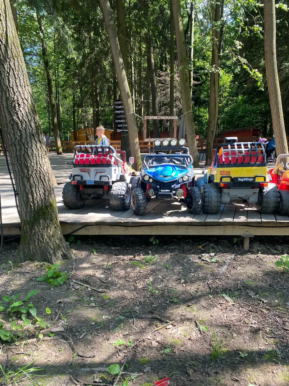 Фото Семейная ферма Пыхтино - развлечение в Москве | Досугатор