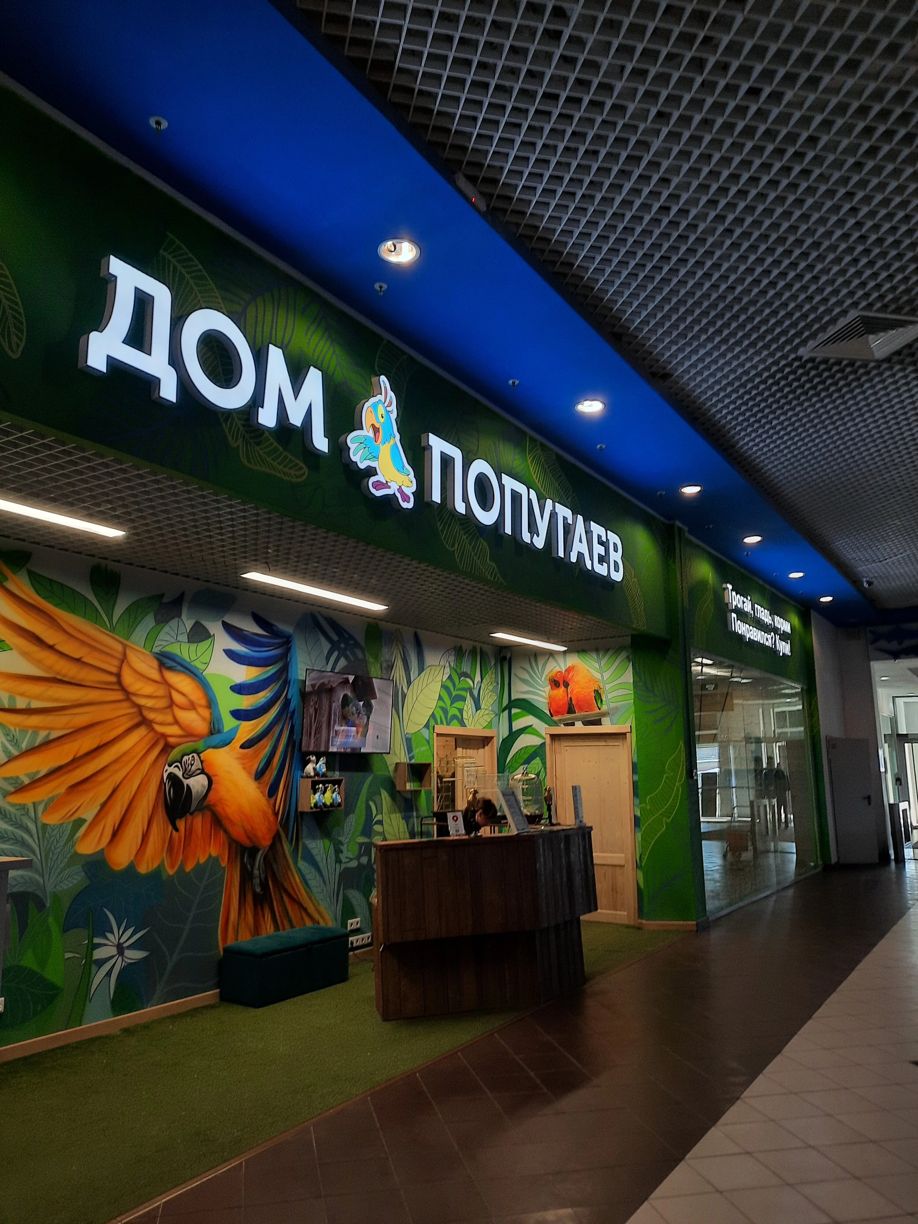 Фото Дом попугаев (ТРЦ Гагаринский) - развлечение в Москве | Досугатор