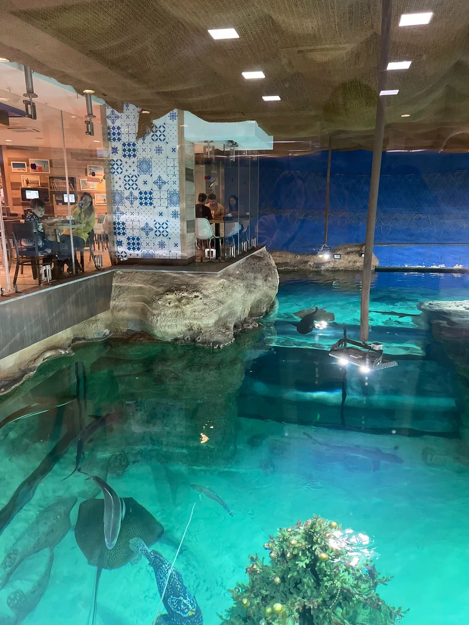 Фото Кафе Шоколадница - Рестораны в Москве | Досугатор