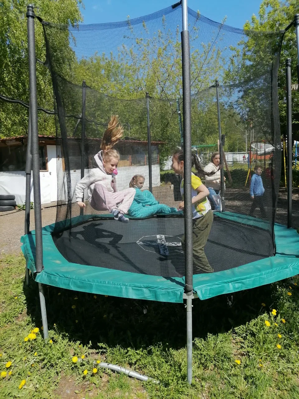 Фото Веревочный парк Юный армеец - развлечение в Москве | Досугатор