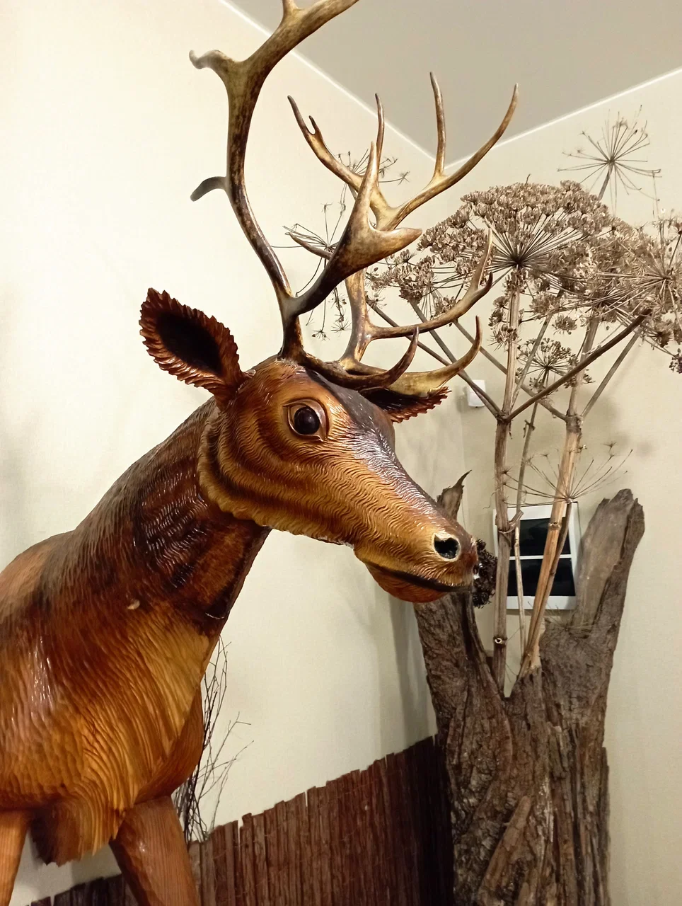 Фото Музей "Лес-чудодей" (г. Кострома) - развлечение в Москве | Досугатор