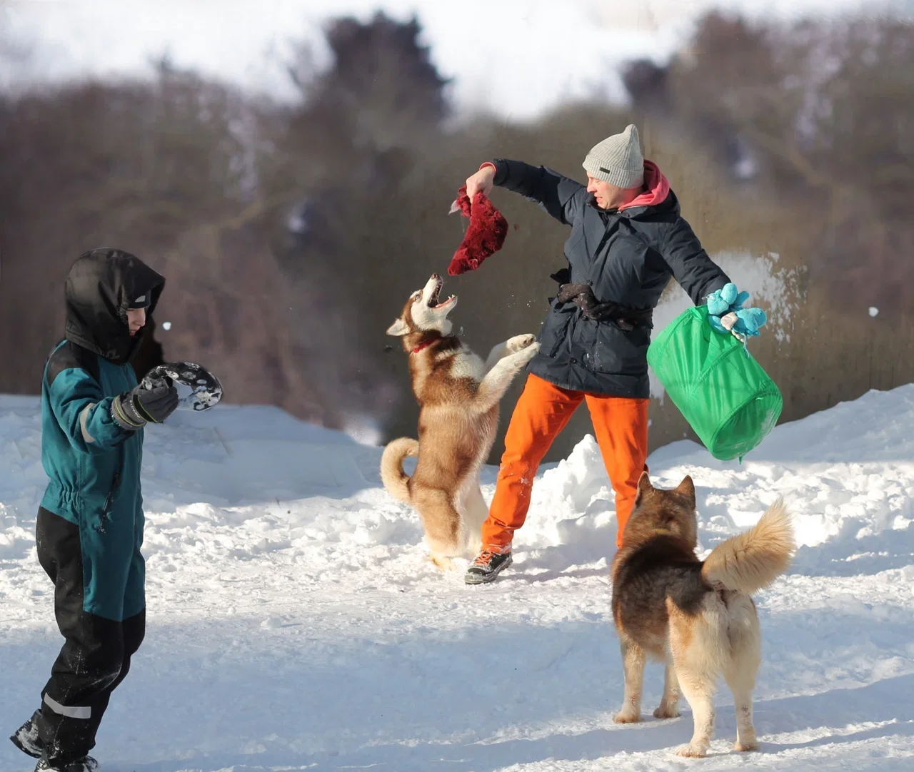 Фото Дом хаски (г. Сергиев Посад) - развлечение в Москве | Досугатор