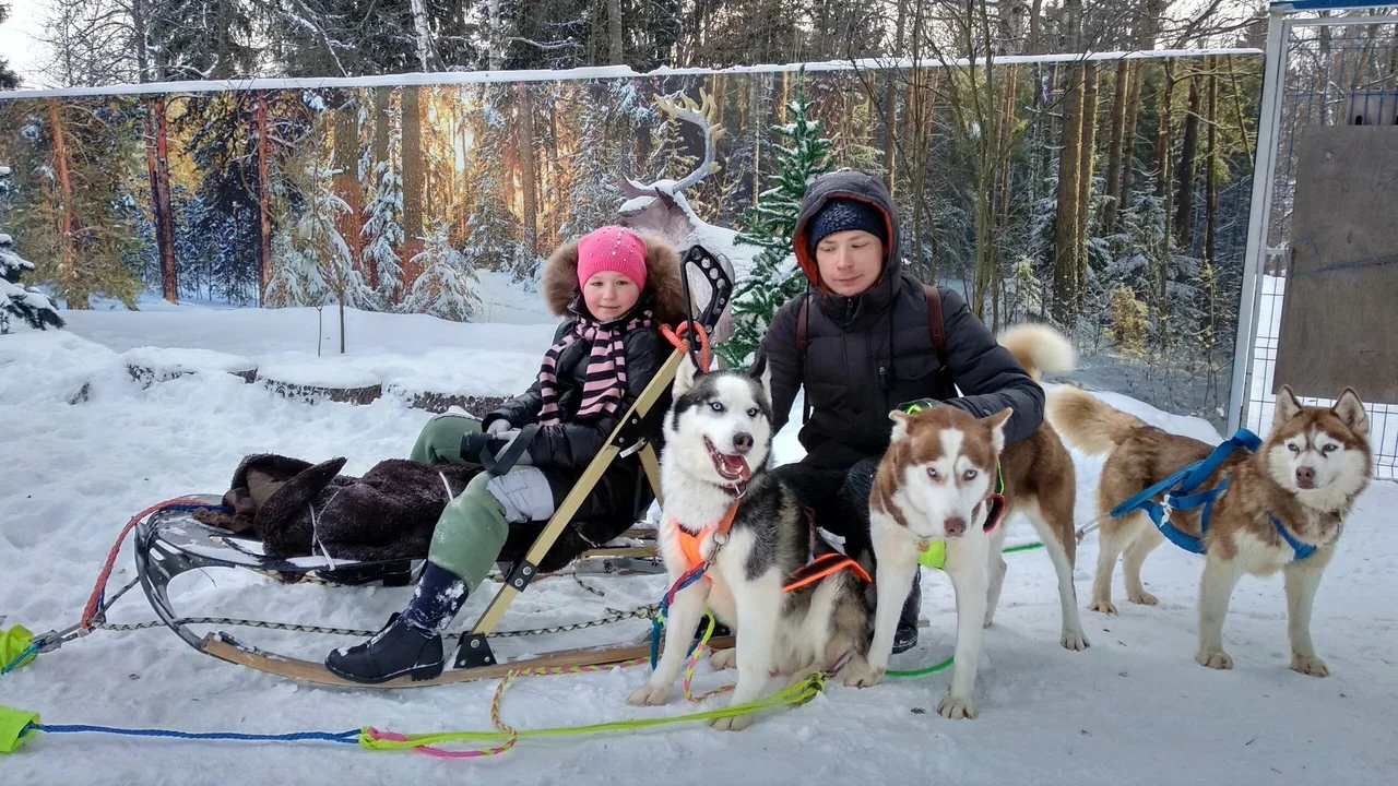 Фото Дом хаски (г. Сергиев Посад) - развлечение в Москве | Досугатор