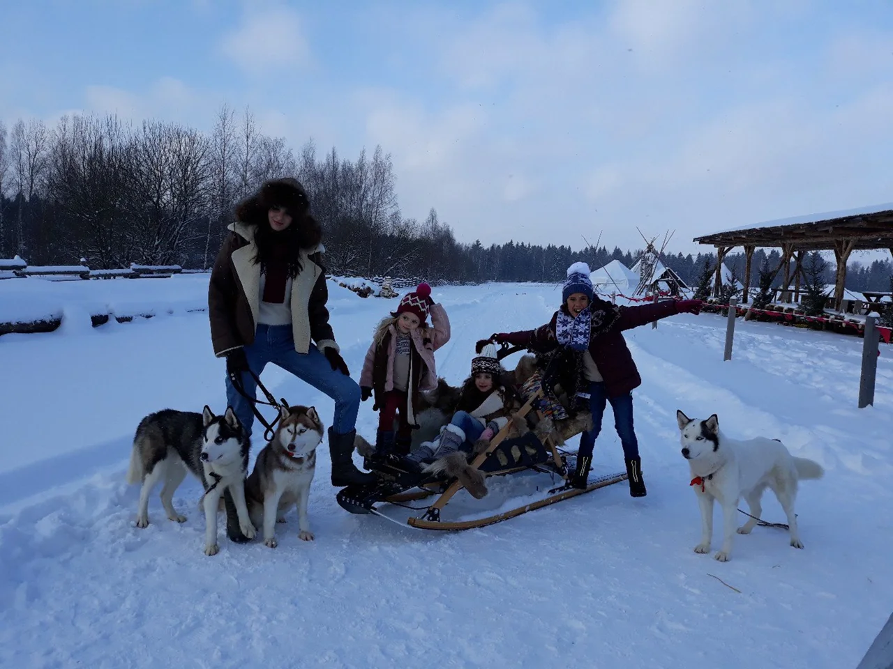Фото Дом хаски (г. Сергиев Посад) - развлечение в Москве | Досугатор