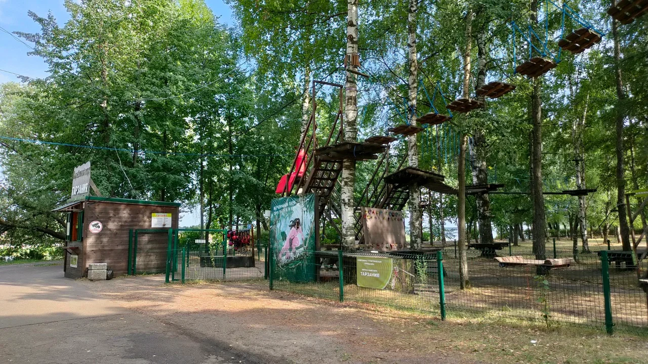 Фото Веревочный парк «Тарзания» на Даманском острове (г. Ярославль) - развлечение в Москве | Досугатор