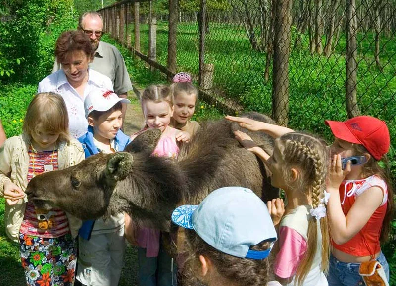 Фото Сумароковская ферма (г. Кострома) - развлечение в Москве | Досугатор