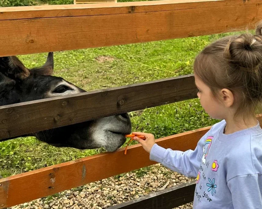 Фото Эко-ферма Тишь да Крышь - Зоопарки / Фермы / Океонариумы в Москве | Досугатор