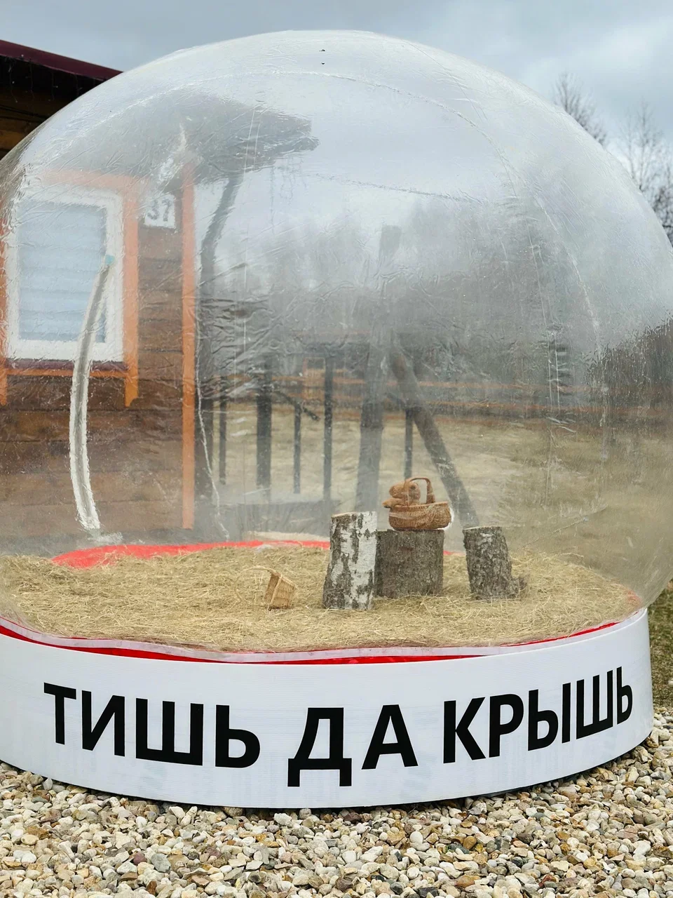 Фото Эко-ферма Тишь да Крышь - развлечение в Москве | Досугатор