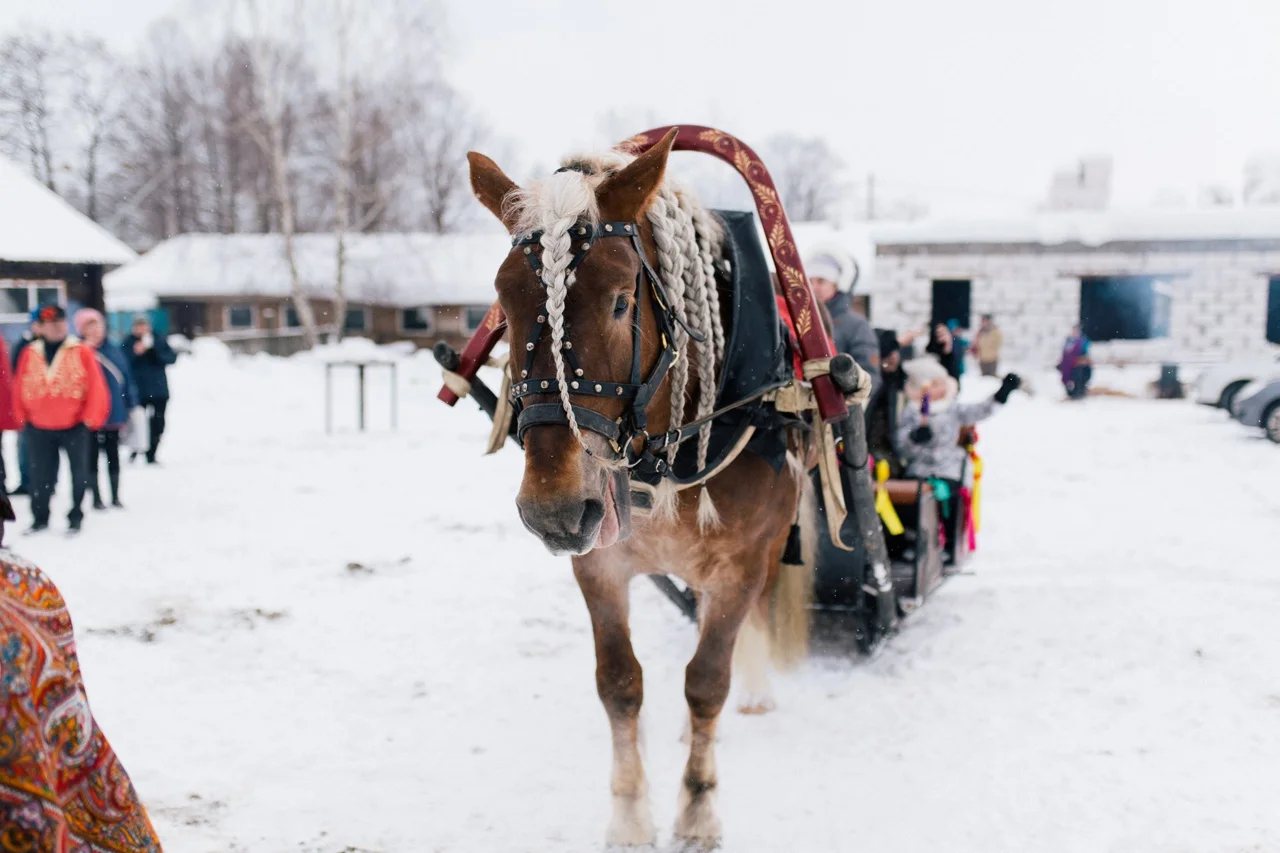 Фото КФХ "Демидовское подворье" - развлечение в Москве | Досугатор