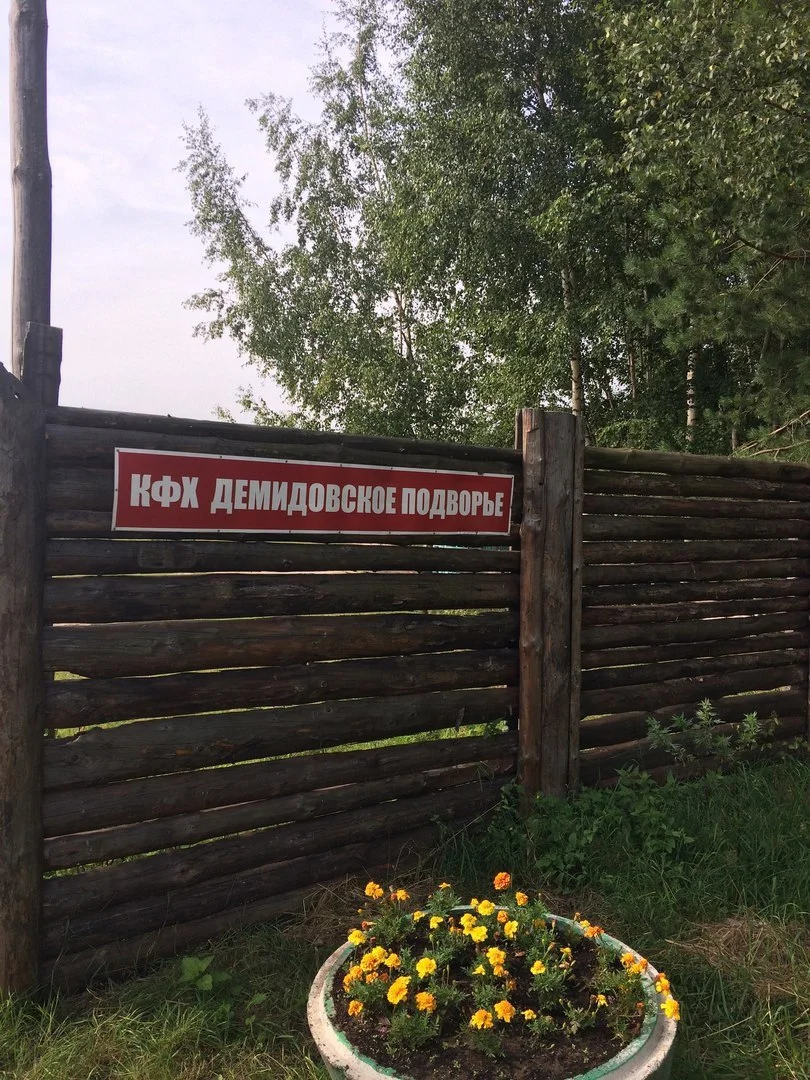 Фото КФХ "Демидовское подворье" - развлечение в Москве | Досугатор