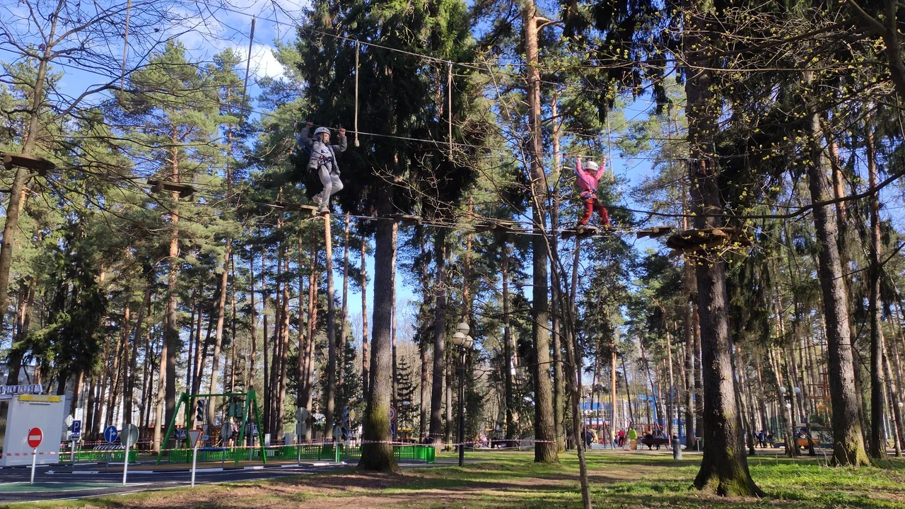 Фото Веревочный Норвежский парк Красногорск - развлечение в Москве | Досугатор