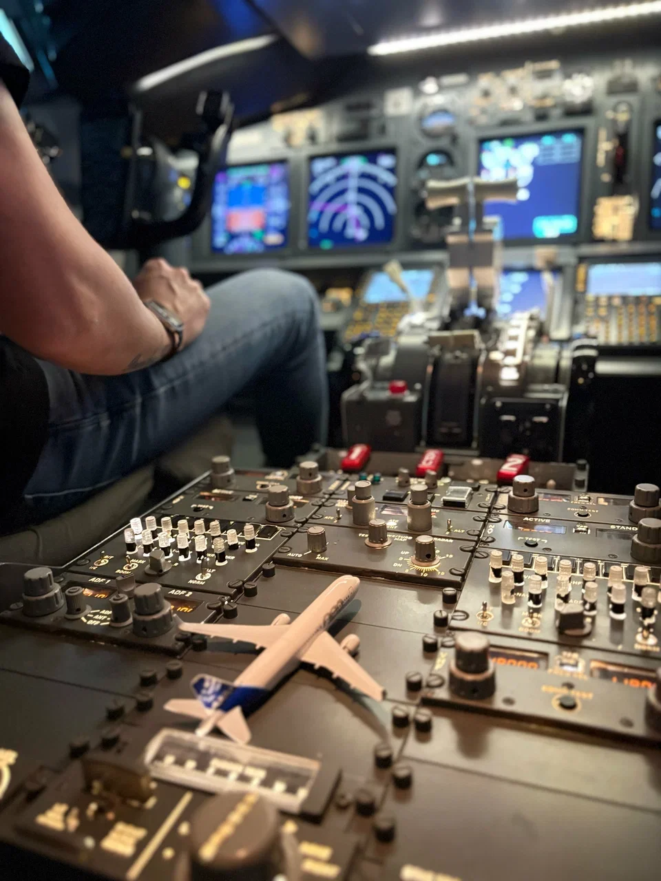 Фото Авиатренажер Dream Aero в ТЦ "Афимолл Сити" - развлечение в Москве | Досугатор