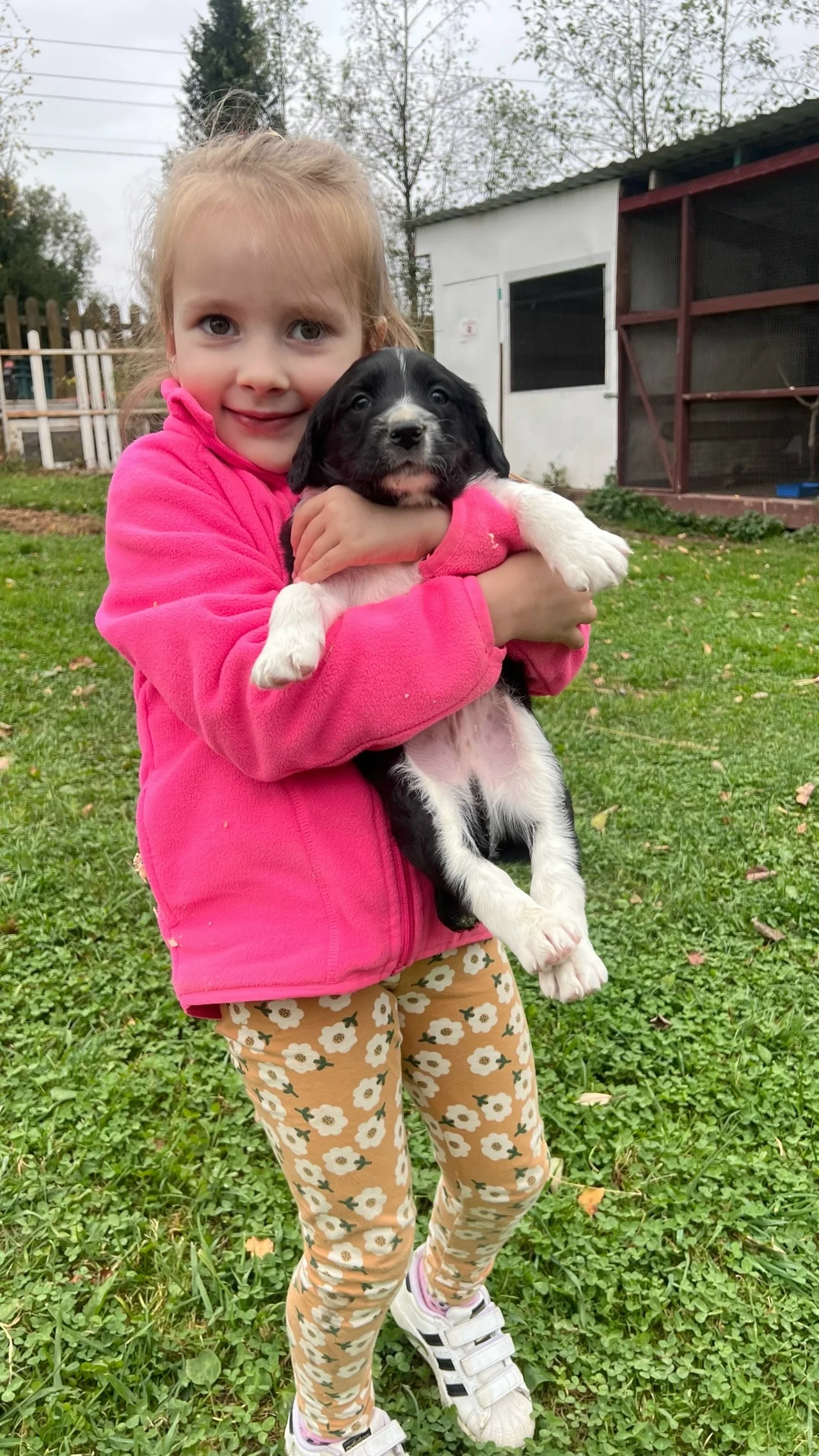 Фото Экоферма "Парк Зазеркалье" (Владимирская область) - развлечение в Москве | Досугатор