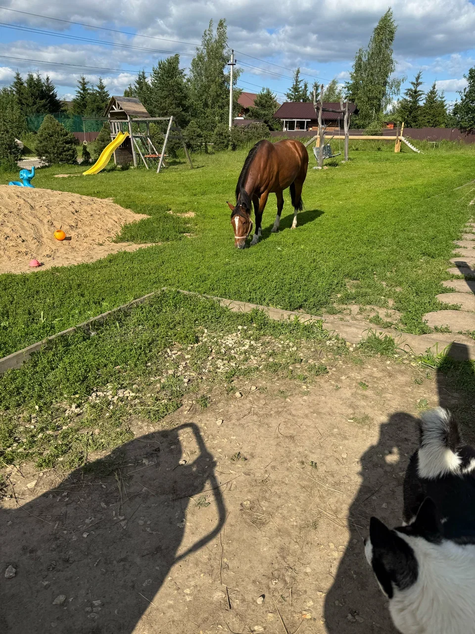Фото Экоферма "Парк Зазеркалье" (Владимирская область) - развлечение в Москве | Досугатор